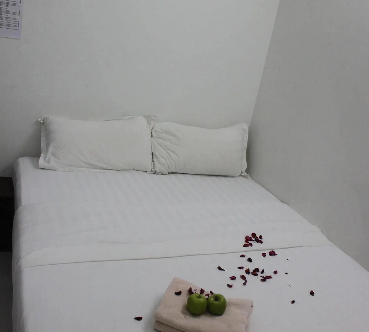 Apple 1 Hotel Budget Gelugor